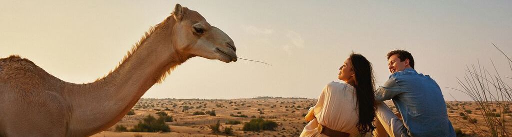 Desert Safari Camel Encounter